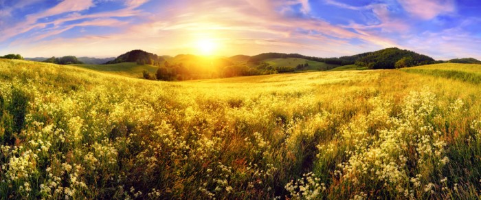 Die Fototapete Natur Panorama im Sonnenuntergang, eine Vlies-Fototapete bei Livingwalls Cologne online kaufen. Die Fototapete Natur Panorama im Sonnenuntergang ist eine Fototapete auf Maß.