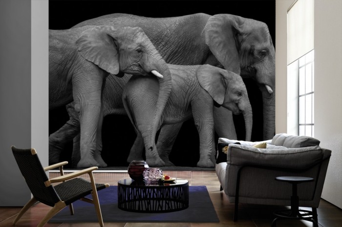 Im Wohnzimmer die Fototapete Elefanten Familie, schwarz-weiß auf einer großen Wand tapeziert. Die Fototapete Elefanten Familie, schwarz-weiß ist als Vlies-Fototapete im Wohnzimmer leicht zu tapezieren.