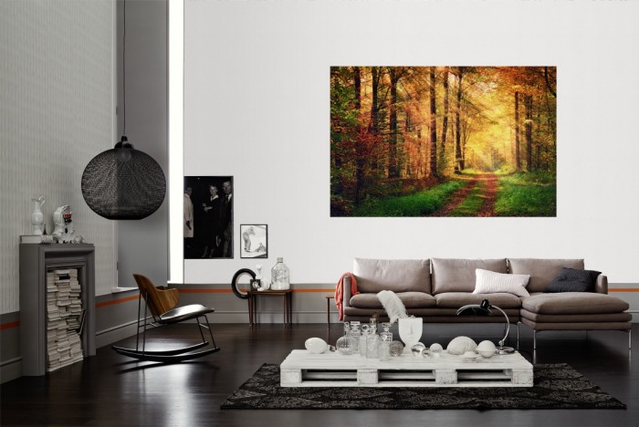 Die Fototapete Waldweg im Herbst als Wandbild im Wohnzimmer. Die Vlies-Fototapete Waldweg im Herbst verschönert als Wandbild Deine Wand.