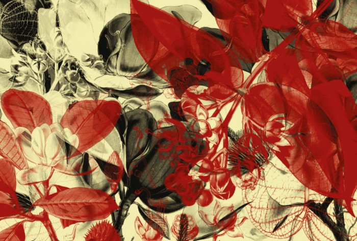 Die Designer-Fototapete Botanischer Garten, Artwork by Mylumi, eine Vlies-Fototapete bei Livingwalls Cologne online kaufen. Die Designer-Fototapete Botanischer Garten, Artwork by Mylumi ist eine Fototapete auf Maß.