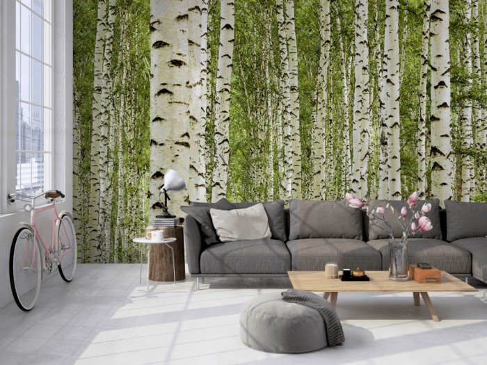 Die Fototapete Birkenwald im Sommer auf einer großen Wand im Loft tapeziert. Die Fototapete Birkenwald im Sommer wird individuell auf Deine Wand angepasst.