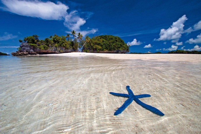 Die Fototapete Strand der Malediven mit Seestern, eine Vlies-Fototapete bei Livingwalls Cologne online kaufen. Die Fototapete Strand der Malediven mit Seestern ist eine Fototapete auf Maß.