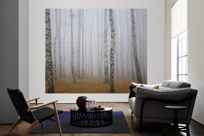 Die Fototapete Birkenwald im Nebel als große Bildtapete im Wohnzimmer. Als Bildtapete ist die Fototapete Birkenwald im Nebel ein besonderes Highlight auf Vliestapete.