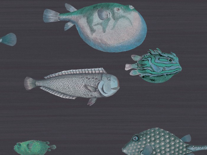 Ansicht der Fornasetti Tapete 114/16032 Acquario von Cole and Son