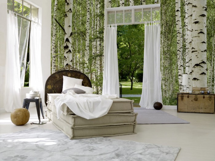 3D-Fototapete Birkenwald im Sommer