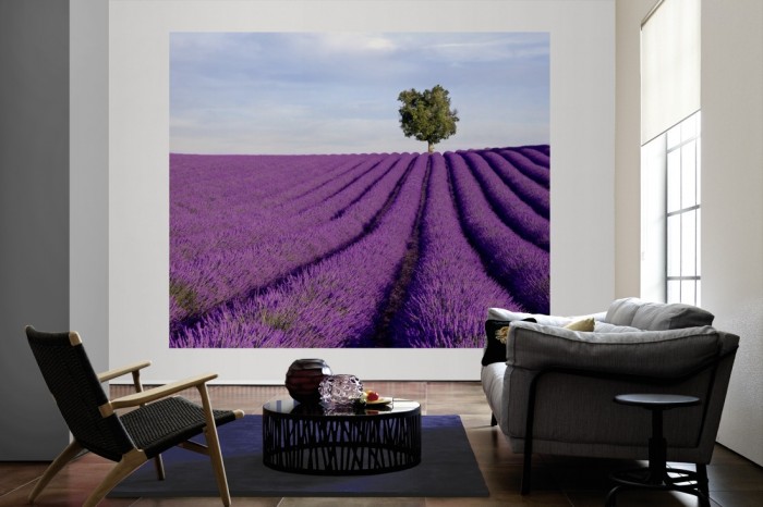 Die Fototapete Dichtes Lavendel Feld, Provence Frankreich als große Bildtapete im Wohnzimmer. Als Bildtapete ist die Fototapete Dichtes Lavendel Feld, Provence Frankreich ein besonderes Highlight auf Vliestapete.