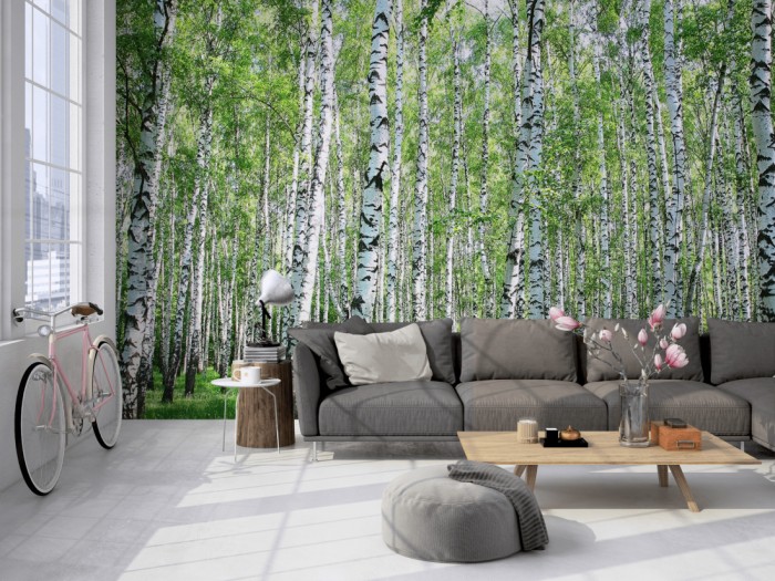 Die Fototapete Birkenwald im Sonnenschein auf einer großen Wand im Loft tapeziert. Die Fototapete Birkenwald im Sonnenschein wird individuell auf Deine Wand angepasst.