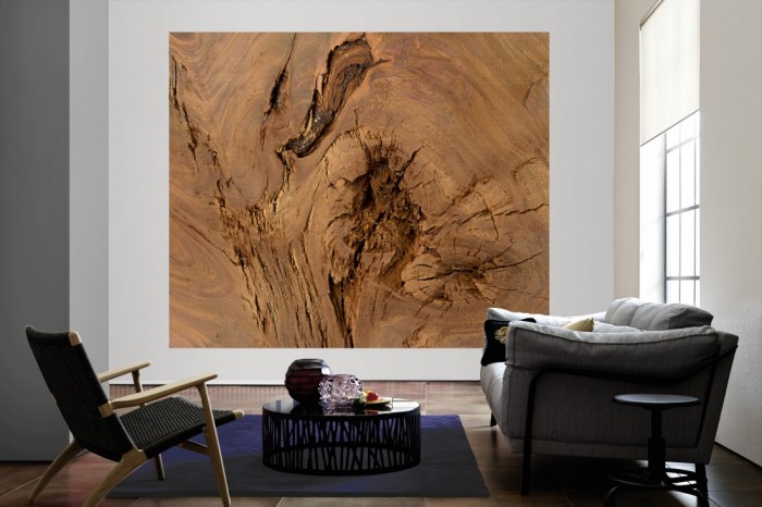 Die Fototapete Holz Wand, Baumstamm als große Bildtapete im Wohnzimmer. Als Bildtapete ist die Fototapete Holz Wand, Baumstamm ein besonderes Highlight auf Vliestapete.