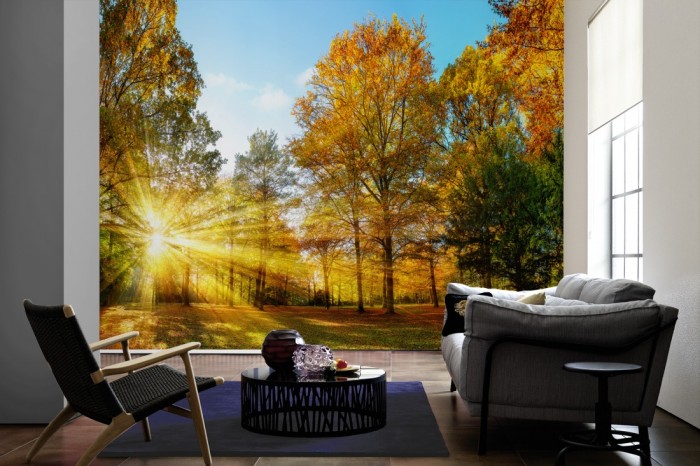 Im Wohnzimmer die Fototapete Waldlichtung im Herbst auf einer großen Wand tapeziert. Die Fototapete Waldlichtung im Herbst ist als Vlies-Fototapete im Wohnzimmer leicht zu tapezieren.