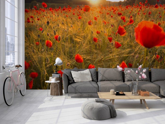 Die Fototapete Mohnblumen bei Sonnenaufgang auf einer großen Wand im Loft tapeziert. Die Fototapete Mohnblumen bei Sonnenaufgang wird individuell auf Deine Wand angepasst.