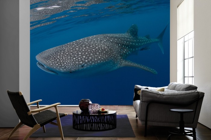 Im Wohnzimmer die Fototapete Walhai im Ozean auf einer großen Wand tapeziert. Die Fototapete Walhai im Ozean ist als Vlies-Fototapete im Wohnzimmer leicht zu tapezieren.