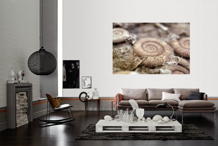 Die Fototapete Fossil als Wandbild im Wohnzimmer. Die Vlies-Fototapete Fossil verschönert als Wandbild Deine Wand.