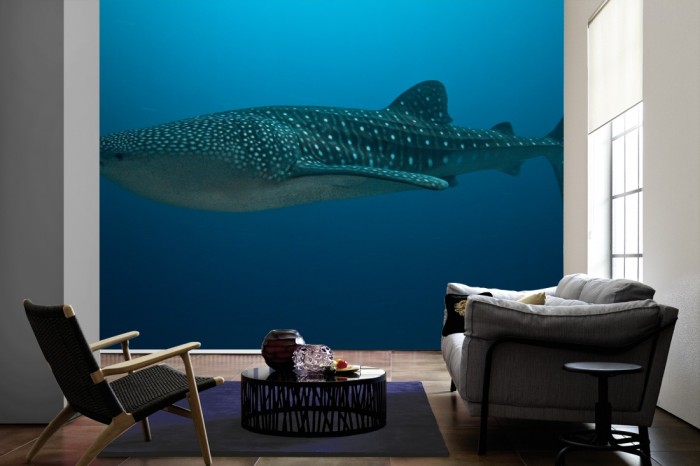 Im Wohnzimmer die Fototapete Walhai im tiefen Meer auf einer großen Wand tapeziert. Die Fototapete Walhai im tiefen Meer ist als Vlies-Fototapete im Wohnzimmer leicht zu tapezieren.