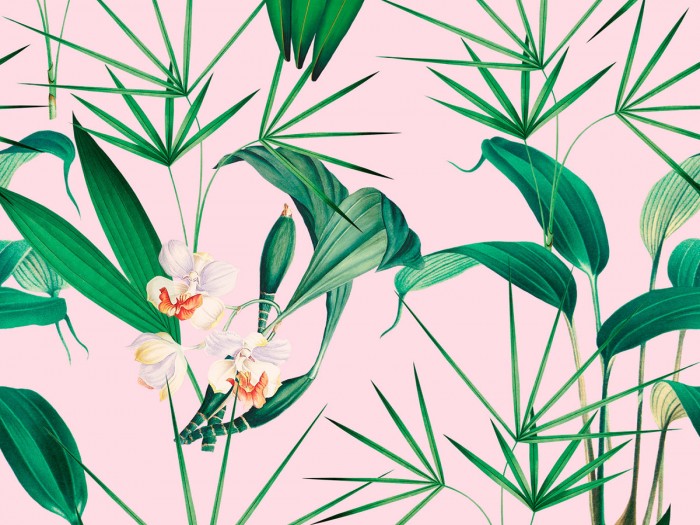 Detailansicht der Selected Walls Tapete Naples Flowers Wallpaper Col. 01