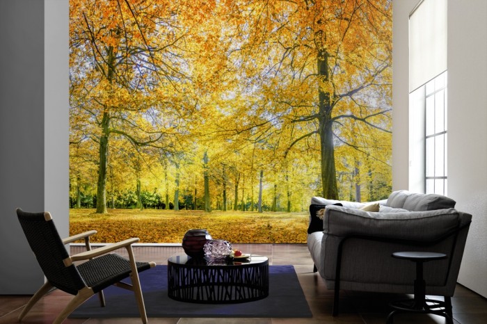 Im Wohnzimmer die Fototapete Wald im herbstlichen Sonnenschein auf einer großen Wand tapeziert. Die Fototapete Wald im herbstlichen Sonnenschein ist als Vlies-Fototapete im Wohnzimmer leicht zu tapezieren.