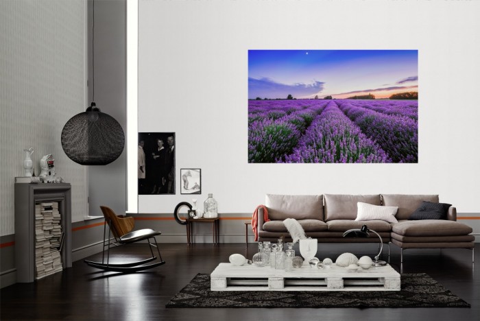 Die Fototapete Lavendel Feld bei Sonnenuntergang als Wandbild im Wohnzimmer. Die Vlies-Fototapete Lavendel Feld bei Sonnenuntergang verschönert als Wandbild Deine Wand.