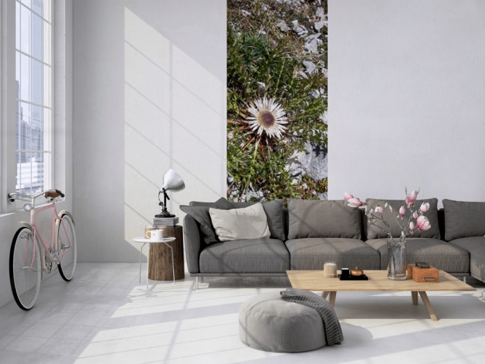 Das 3D-Fotopanel Wildblume in den Bergen, Alpen tapeziert in einem Loft. Bestelle die Bildtapete für Deine Wand online.