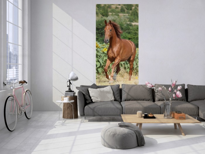 Das 3D Fotopanel Pferd auf der Weide tapeziert in einem Loft. Bestelle die Bildtapete für Deine Wand online.