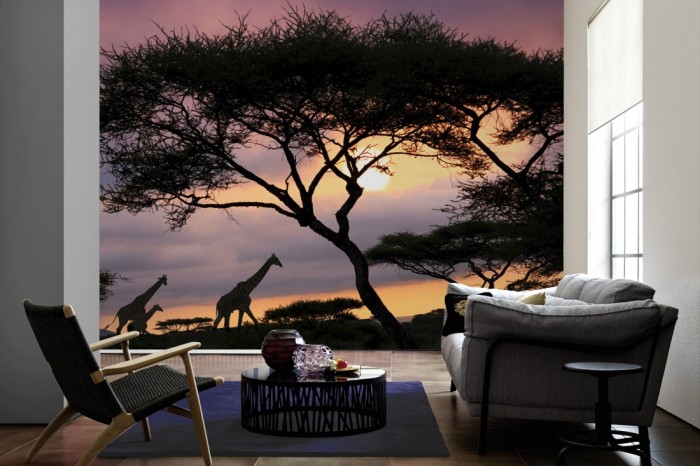 Im Wohnzimmer die Fototapete Giraffen im Sonnenaufgang, Afrika auf einer großen Wand tapeziert. Die Fototapete Giraffen im Sonnenaufgang, Afrika ist als Vlies-Fototapete im Wohnzimmer leicht zu tapezieren.