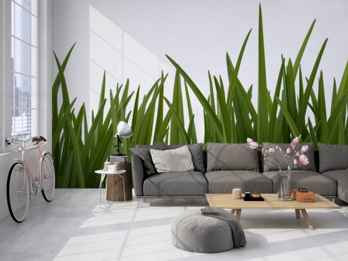 Die Fototapete Gras, dunkelgrüne Grashalme auf einer großen Wand im Loft tapeziert. Die Fototapete Gras, dunkelgrüne Grashalme wird individuell auf Deine Wand angepasst.