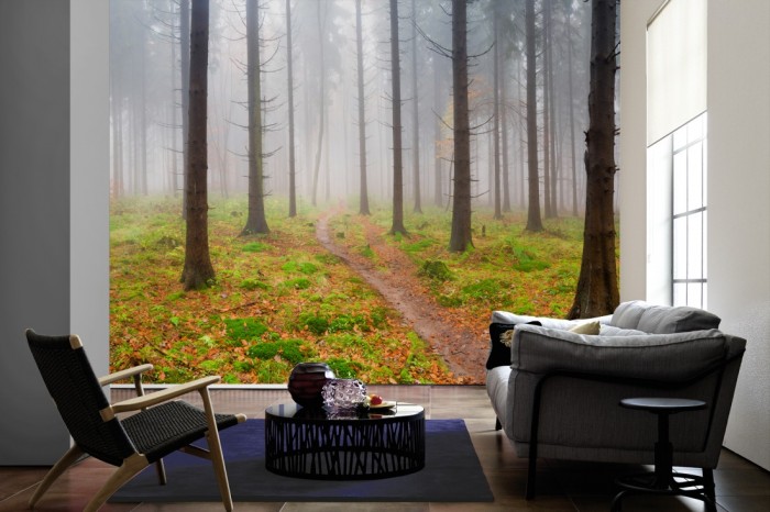 Im Wohnzimmer die Fototapete Herbstwald im Nebel auf einer großen Wand tapeziert. Die Fototapete Herbstwald im Nebel ist als Vlies-Fototapete im Wohnzimmer leicht zu tapezieren.