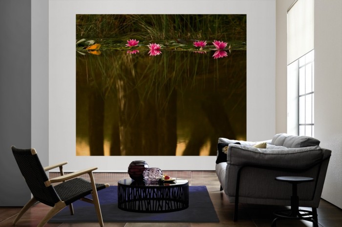 Jetzt bestellen » Fototapete Teich mit Seerosen livingwallscologne.de