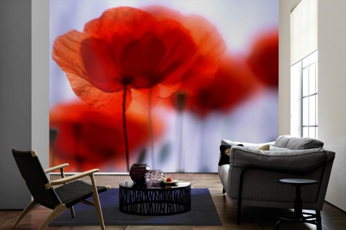 Im Wohnzimmer die Fototapete Mohn Blumen auf einer großen Wand tapeziert. Die Fototapete Mohn Blumen ist als Vlies-Fototapete im Wohnzimmer leicht zu tapezieren.