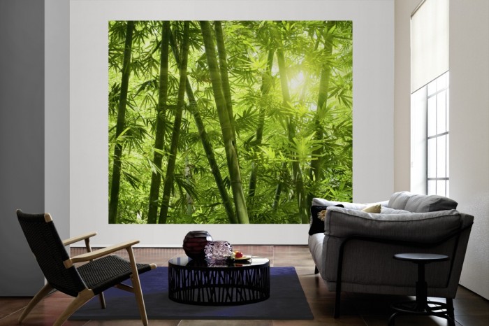 Die Fototapete Bambus Wald mit Blättern als große Bildtapete im Wohnzimmer. Als Bildtapete ist die Fototapete Bambus Wald mit Blättern ein besonderes Highlight auf Vliestapete.