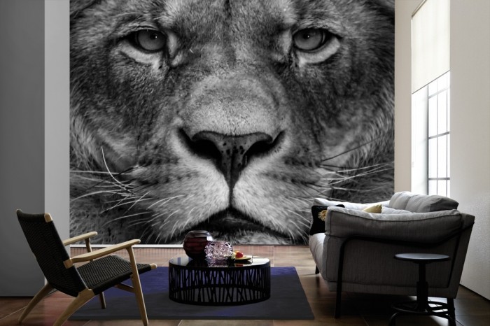 Im Wohnzimmer die Fototapete Löwe im Blick, schwarz-weiß auf einer großen Wand tapeziert. Die Fototapete Löwe im Blick, schwarz-weiß ist als Vlies-Fototapete im Wohnzimmer leicht zu tapezieren.