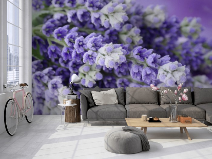 Die Fototapete Lavendel Bündel im Detail auf einer großen Wand im Loft tapeziert. Die Fototapete Lavendel Bündel im Detail wird individuell auf Deine Wand angepasst.