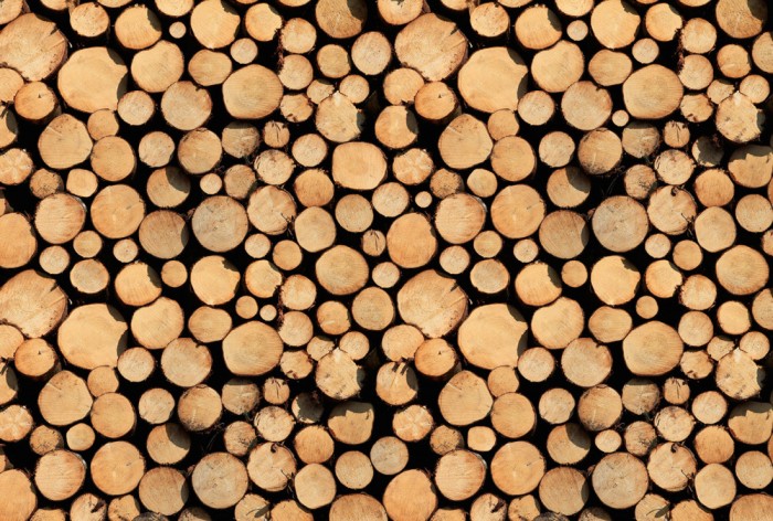 Die Fototapete Holz Wand, Baumstämme, eine Vlies-Fototapete bei Livingwalls Cologne online kaufen. Die Fototapete Holz Wand, Baumstämme ist eine Fototapete auf Maß.