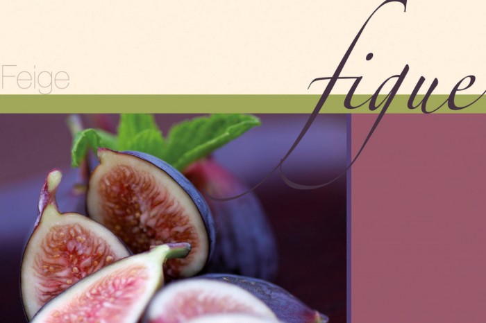 Die Design-Fototapete Feigen, Artwork, eine Vlies-Fototapete bei Livingwalls Cologne online kaufen. Die Design-Fototapete Feigen, Artwork ist eine Fototapete auf Maß.