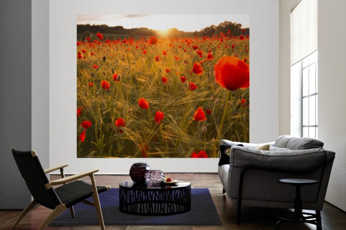 Die Fototapete Mohnblumen bei Sonnenaufgang als große Bildtapete im Wohnzimmer. Als Bildtapete ist die Fototapete Mohnblumen bei Sonnenaufgang ein besonderes Highlight auf Vliestapete.