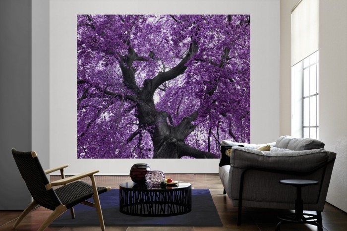 Die Fototapete Violetter Baum bei Blüte, Palisander als große Bildtapete im Wohnzimmer. Als Bildtapete ist die Fototapete Violetter Baum bei Blüte, Palisander ein besonderes Highlight auf Vliestapete.