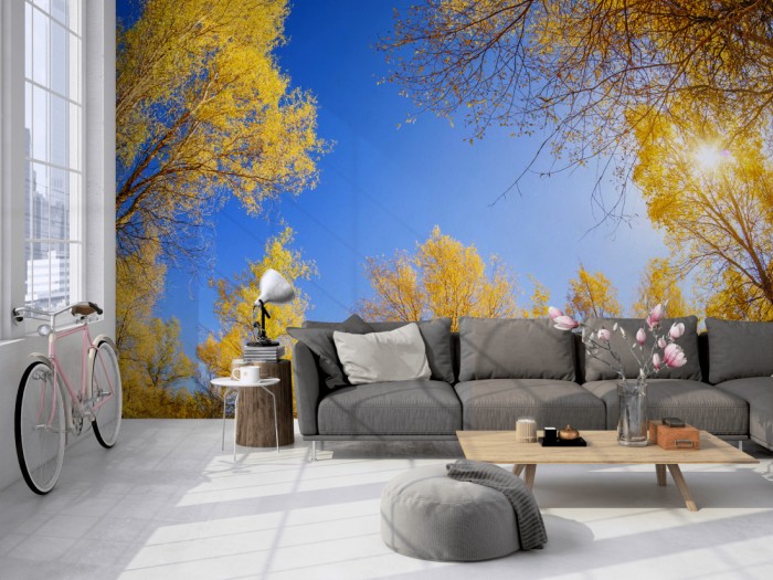 Die Fototapete Waldlichtung im herbstlichen Sonnenschein auf einer großen Wand im Loft tapeziert. Die Fototapete Waldlichtung im herbstlichen Sonnenschein wird individuell auf Deine Wand angepasst.