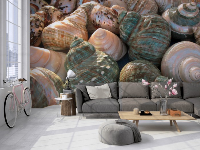 Die Fototapete Schneckenhäuser im Sonnenschein auf einer großen Wand im Loft tapeziert. Die Fototapete Schneckenhäuser im Sonnenschein wird individuell auf Deine Wand angepasst.