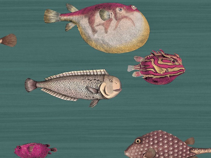 Ansicht der Fornasetti Tapete 114/12024 Acquario von Cole and Son