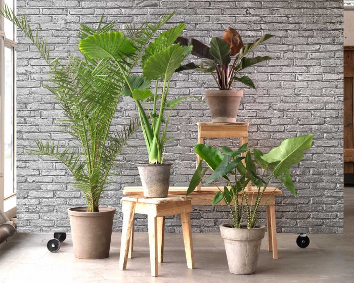 NLXL Tapete PHM-34 Materials von Piet Hein Eek online kaufen. Bestelle die Tapete PHM-34 direkt bei Livingwalls Cologne Tapeten.