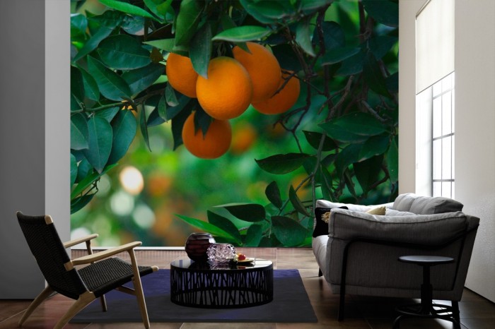 Im Wohnzimmer die Fototapete Orangen am Orangenbaum auf einer großen Wand tapeziert. Die Fototapete Orangen am Orangenbaum ist als Vlies-Fototapete im Wohnzimmer leicht zu tapezieren.