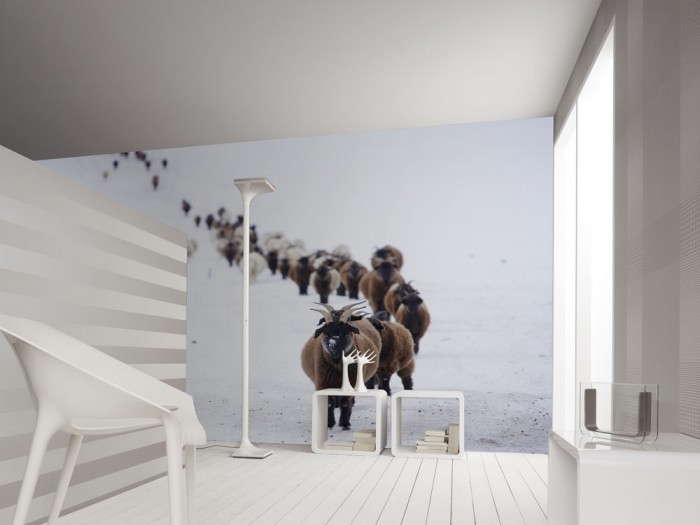 3D-Fototapete Herde im Schnee, Schafböcke