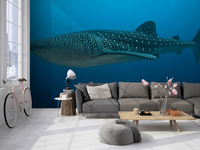 Die Fototapete Walhai im tiefen Meer auf einer großen Wand im Loft tapeziert. Die Fototapete Walhai im tiefen Meer wird individuell auf Deine Wand angepasst.