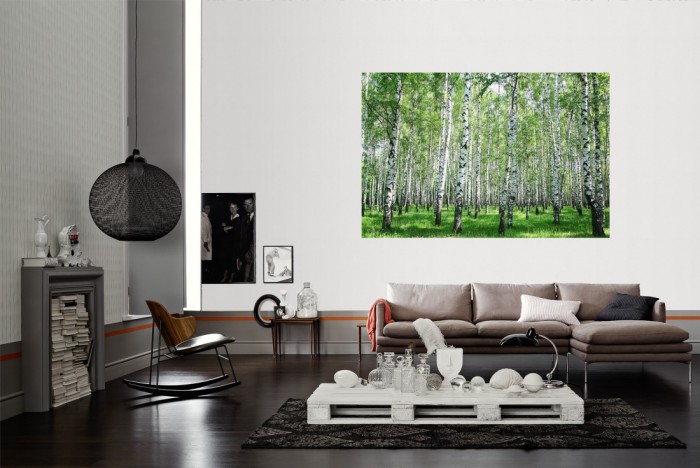 Die Fototapete Birkenwald im Sonnenschein als Wandbild im Wohnzimmer. Die Vlies-Fototapete Birkenwald im Sonnenschein verschönert als Wandbild Deine Wand.