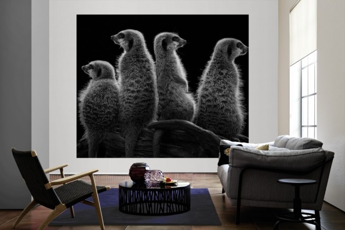 Die Fototapete Erdmännchen, schwarz-weiß als große Bildtapete im Wohnzimmer. Als Bildtapete ist die Fototapete Erdmännchen, schwarz-weiß ein besonderes Highlight auf Vliestapete.