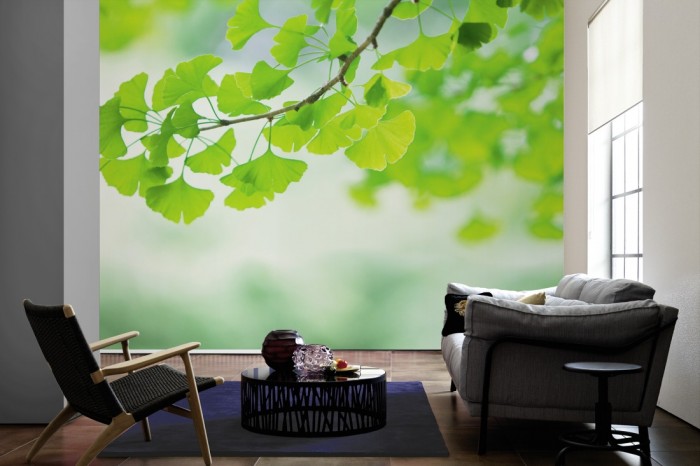 Im Wohnzimmer die Fototapete Ginkgo am Zweig auf einer großen Wand tapeziert. Die Fototapete Ginkgo am Zweig ist als Vlies-Fototapete im Wohnzimmer leicht zu tapezieren.