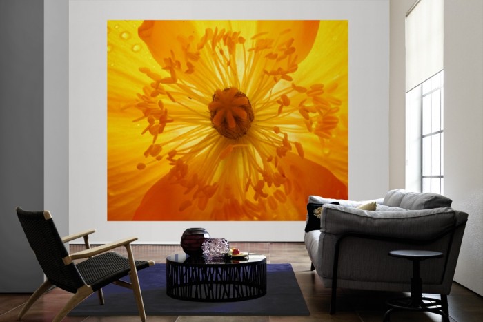 Die Fototapete Mohn Blume in Gelb als große Bildtapete im Wohnzimmer. Als Bildtapete ist die Fototapete Mohn Blume in Gelb ein besonderes Highlight auf Vliestapete.