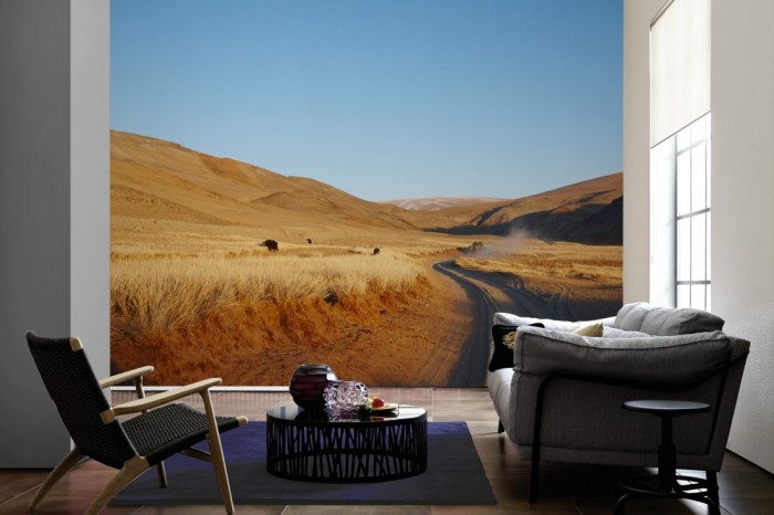 Im Wohnzimmer die Fototapete Grassland in Amerika auf einer großen Wand tapeziert. Die Fototapete Grassland in Amerika ist als Vlies-Fototapete im Wohnzimmer leicht zu tapezieren.