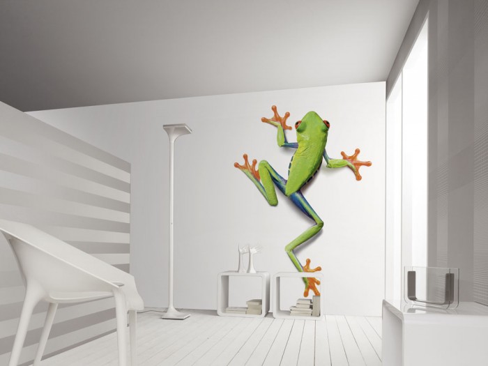 3D-Fototapete Frosch Laubfrosch, Fotografie by Mark Laita