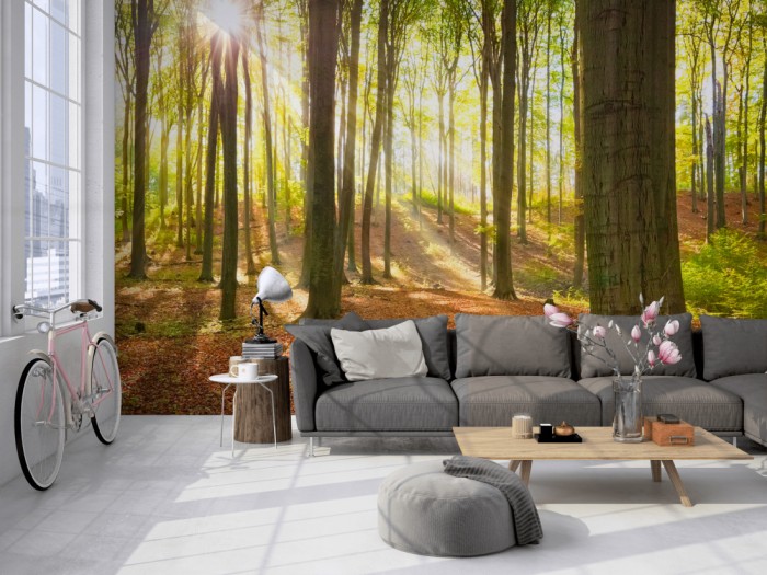 Die Fototapete Wald im Sonnenlicht auf einer großen Wand im Loft tapeziert. Die Fototapete Wald im Sonnenlicht wird individuell auf Deine Wand angepasst.
