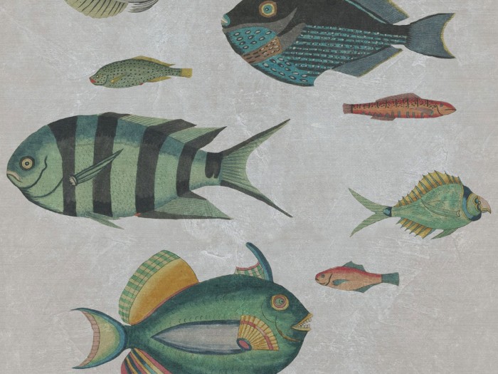 Detailansicht der Selected Walls Tapete Puerto Ayora Fishes Wallpaper Col. 02