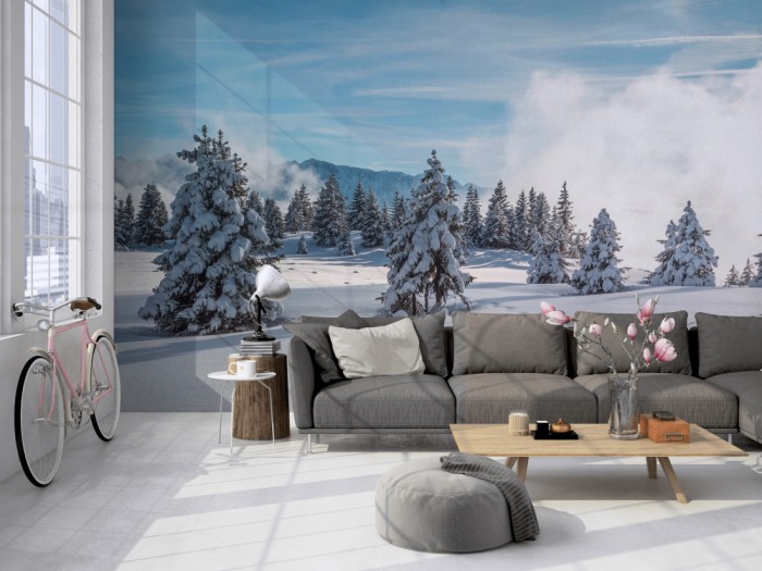 Die Fototapete Wald im Winter, Schwarzwald auf einer großen Wand im Loft tapeziert. Die Fototapete Wald im Winter, Schwarzwald wird individuell auf Deine Wand angepasst.